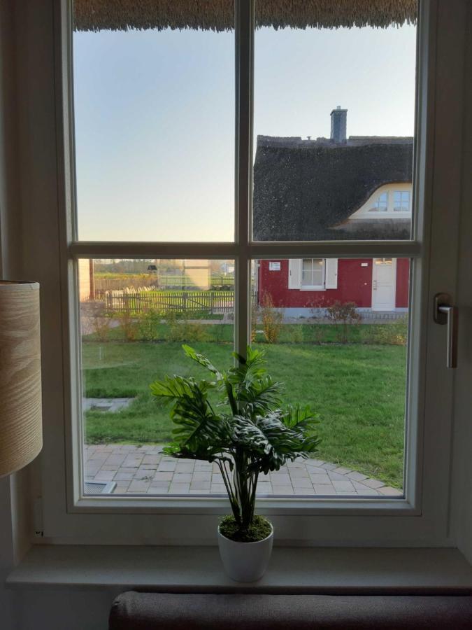 Ferienhaeuser Luv Und Lee Ovs 106 Neu 20 Zierow Exterior foto